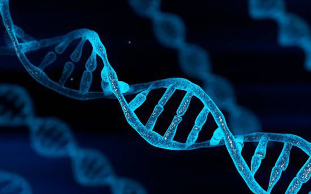 DNA_blog